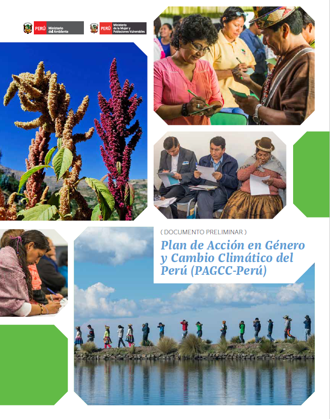 Peru Climate Change Gender Action Plan (ccGAP) Report