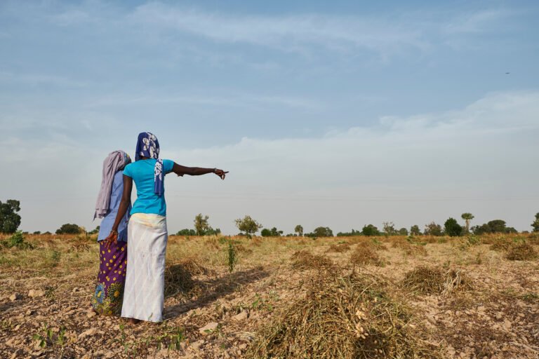 Two women stand in an empty field, looking away from the camera and gesturing towards the ground.