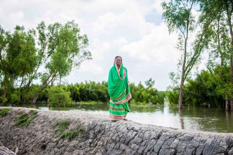 A woman in a green dress stands along a levy with water and green shrubbery behind her.