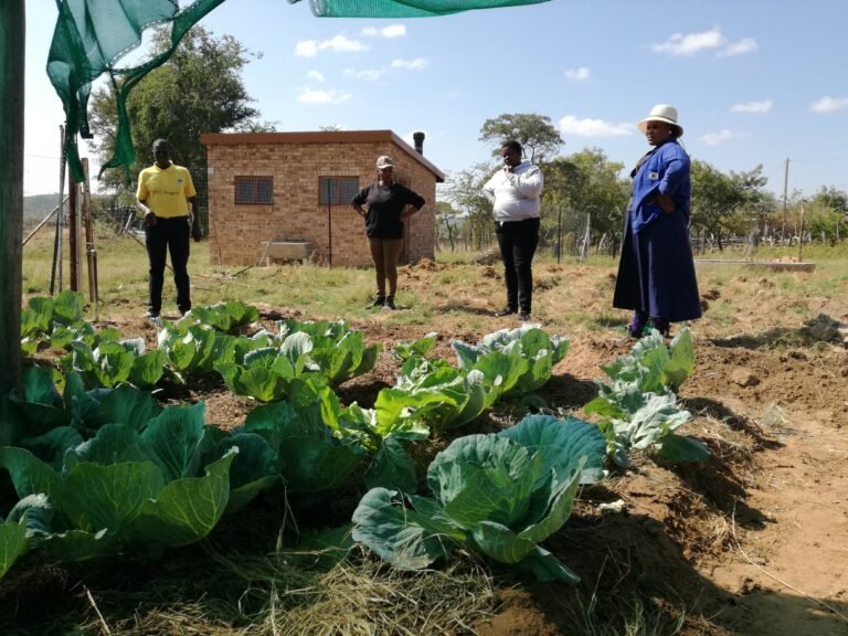 Four people stand near a small farm plot filled with cabbage plants.