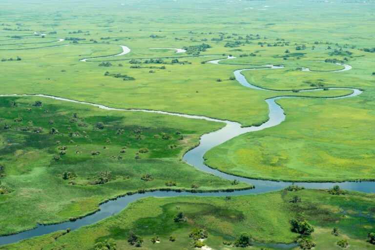 Aerial image of a green grassland with a river running through it.