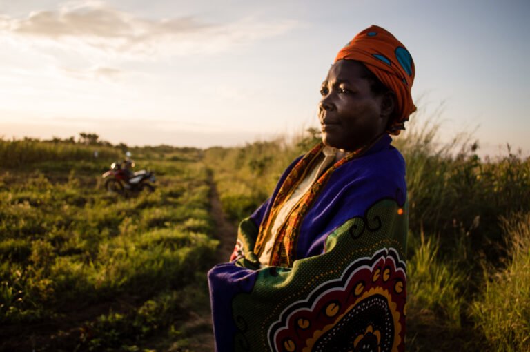 A colorfully dressed woman stands on the edge of a field at sunset, looking into the distance.