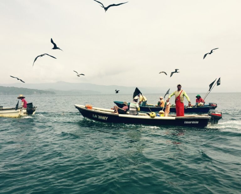Three boats float on deep blue water, with seabirds flying above the boat occupants' heads.