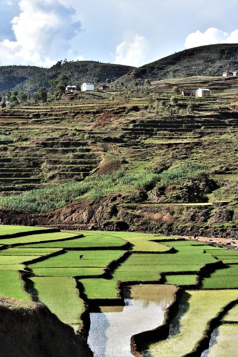 A mountainous, terrace covered landscape fills the frame, and in the foreground, some of the terraces are being worked by people who are small against the mountain behind.