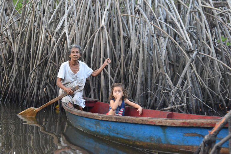 Conserving mangrove forests in Guatemala