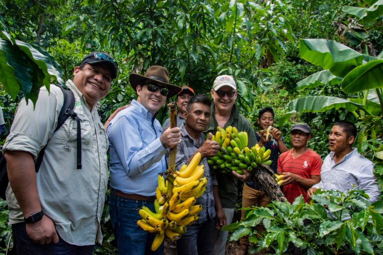 A group of people stand among coffee and banana plants, and two of the people hold bunches of bananas up for the camera.