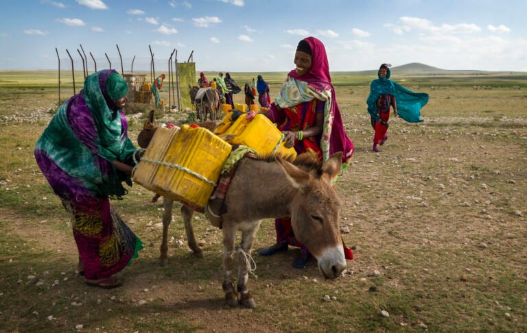 Women work together to tie jerry cans full of water onto a donkey. Rurujis, Somali Region, Ethiopia.