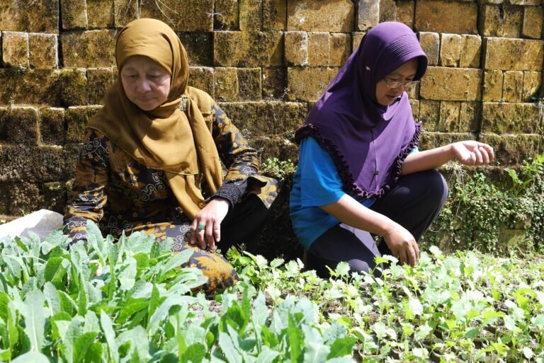 Two women kneel in a garden and look at young plants.
