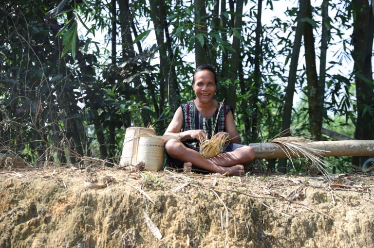 Green OCOP program : Value chains for Non Timber Forest Products