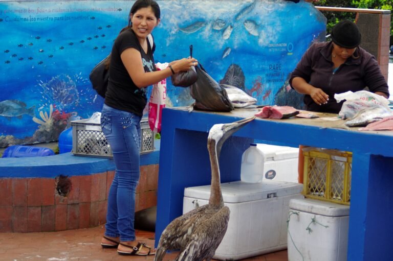 A woman and a fishmonger conduct a transaction while, just next to them, a pelican sneaks in to steal to a large slab of fish meat.