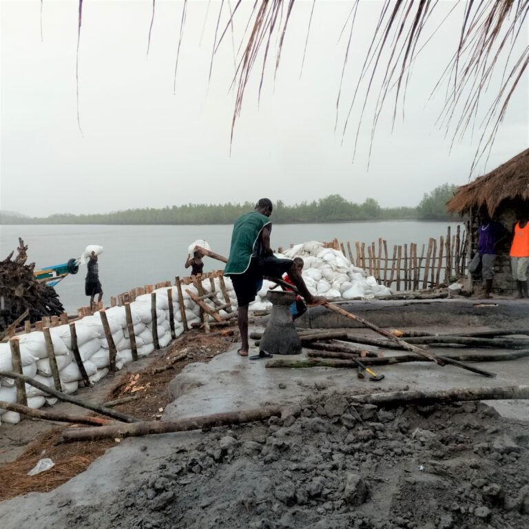 Man and other community members use discarded oyster shells, sand bags, and stakes to build embankments along the coast.
