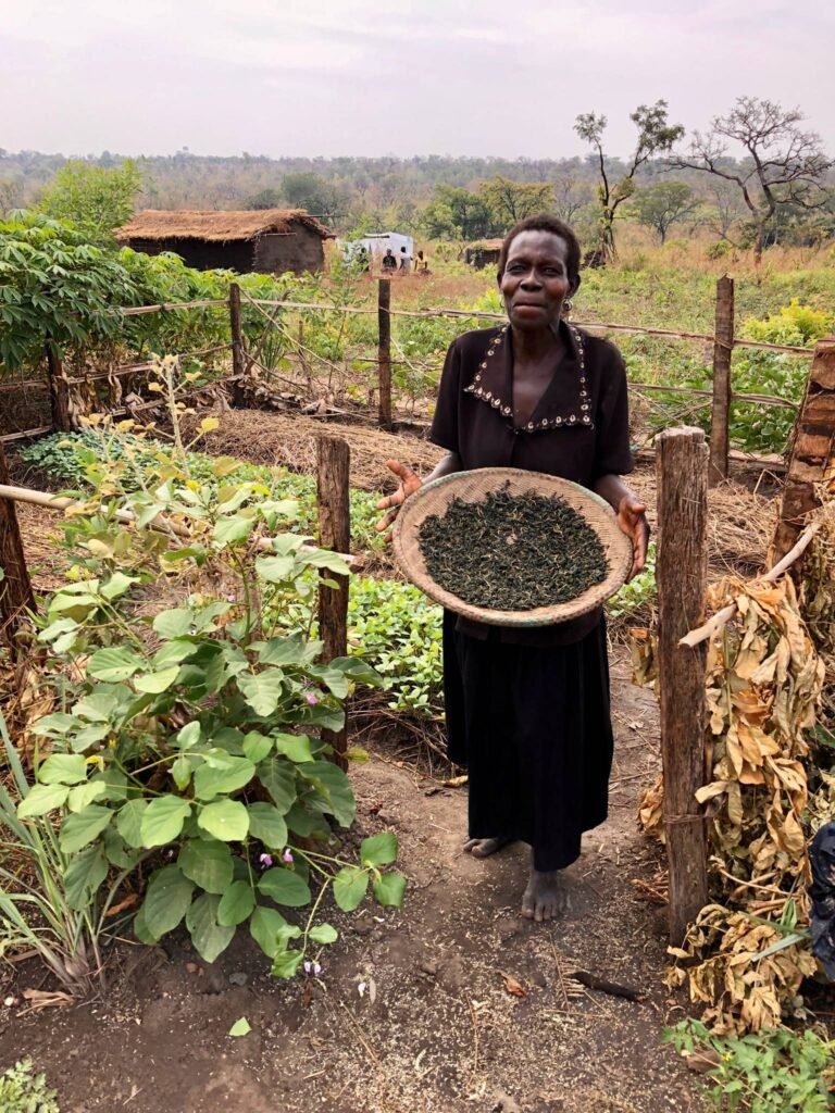 A woman holds a basket of harvested vegetables while standing in a garden plot and looking at the camera.