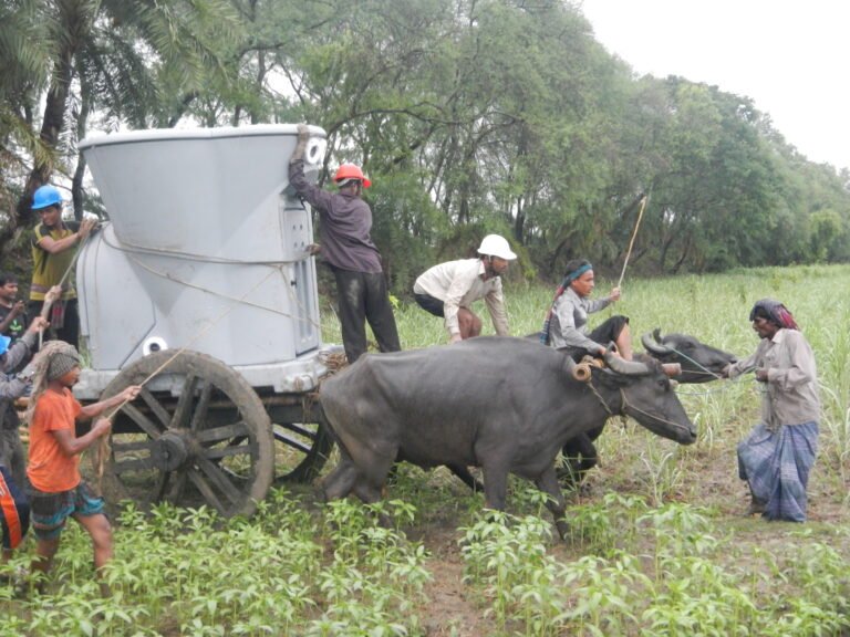 A group of people and water buffaloes transport a large meteorological instrument in a rice paddy.