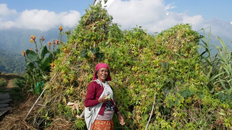 Multiple Use Water System (MUS), Resilience, Community Forestry