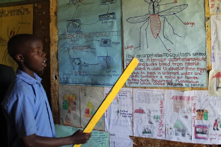 Learning about Malaria