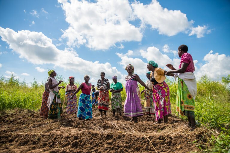 A group of women in colorful clothes stand together on recently tilled land.