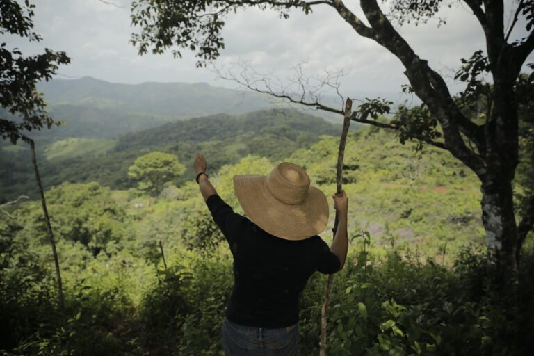 A woman stands at a high jungle clearing, facing away from the camera and pointing into the valley below.