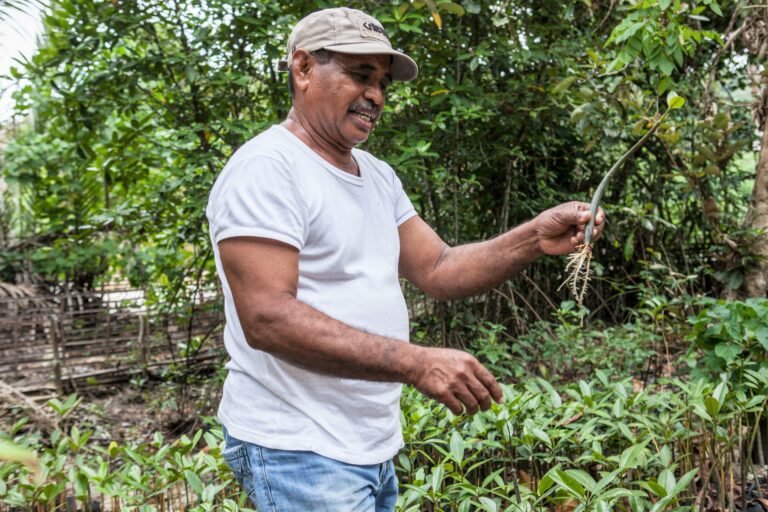 A man stands in a mangrove forest with a seedling in his hand.