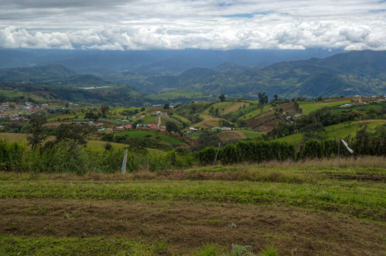 Newly planted fields in Costa Rica, with mountain panorama in background.