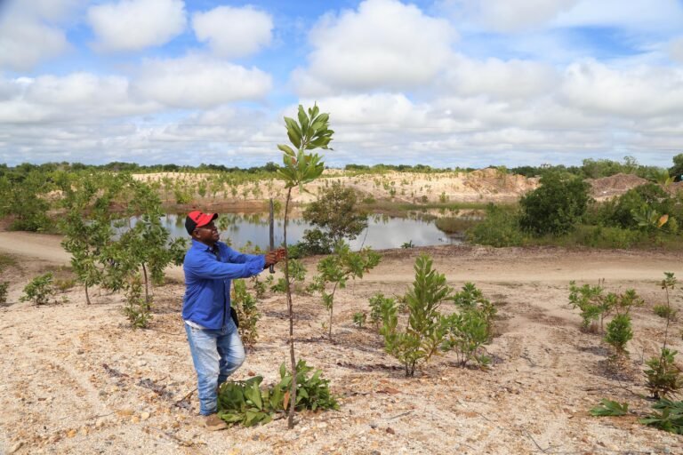 A man plants a thin tree in a semi-arid environment.