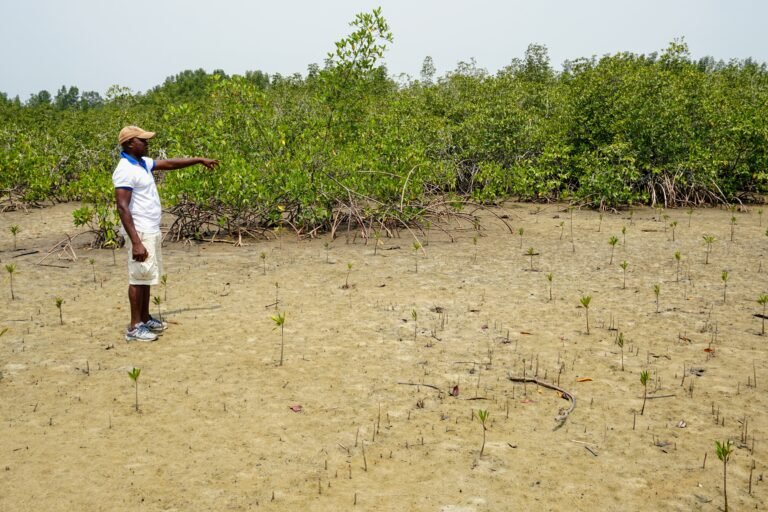 A man pointing at new plants