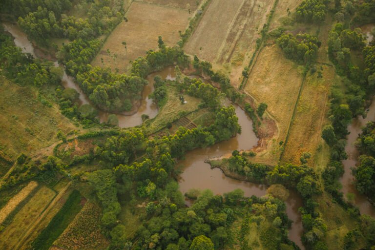 Mara River Basin from above.