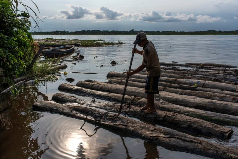 A man stands on a raft of logs with a very wide river in the background.