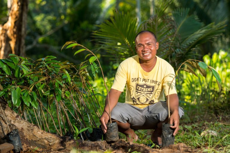 Agroforestry for Increasing Forest Cover in Palawan - USAID