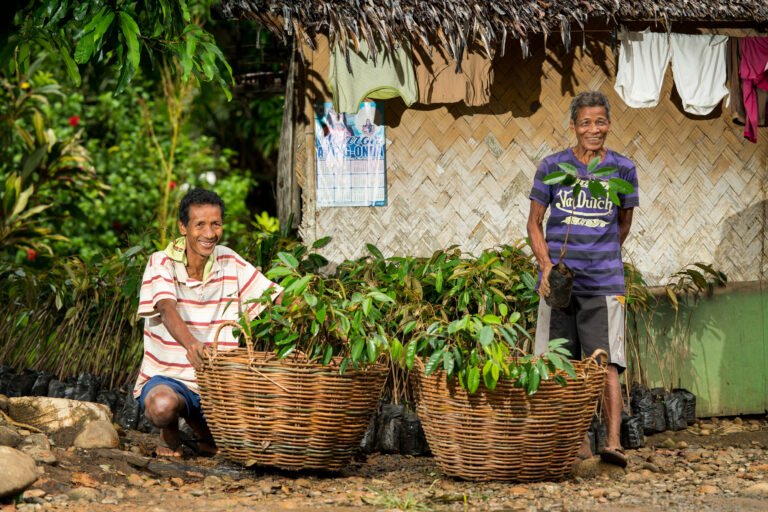 Agroforestry for Productive Forest Activities in Palawan - USAID