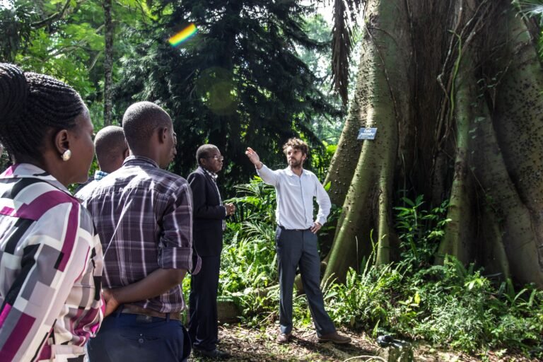A man standing in front of a large tree gestures while speaking to a group of people.