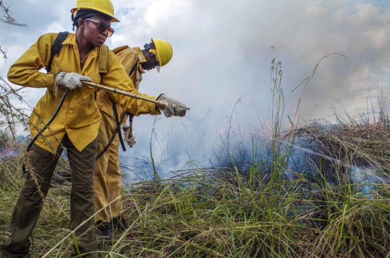 Two men spray water on a brush fire.