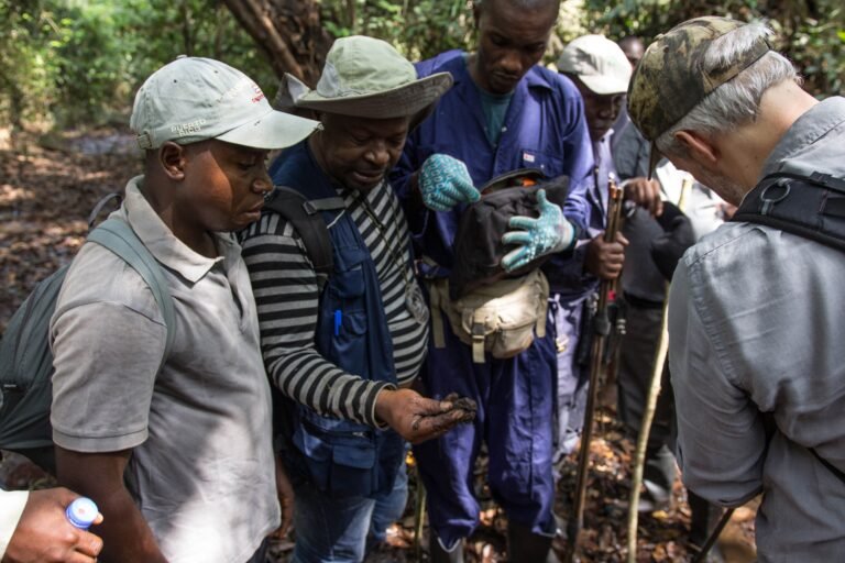 A group of people stand outside, holding soil and using tools to measure it.