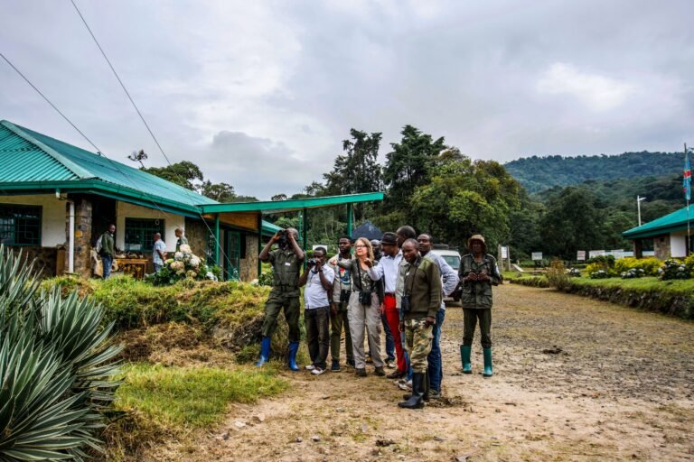 A group of people stand outside a building, using binoculars to observe birds.