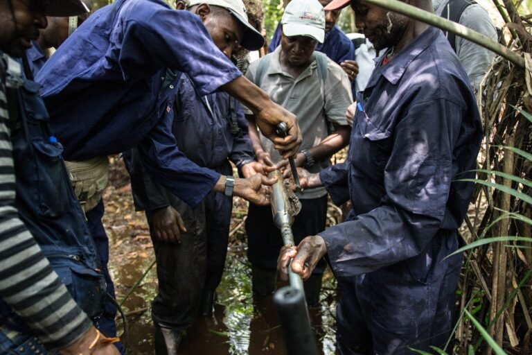A group of people take soil samples in jungle.