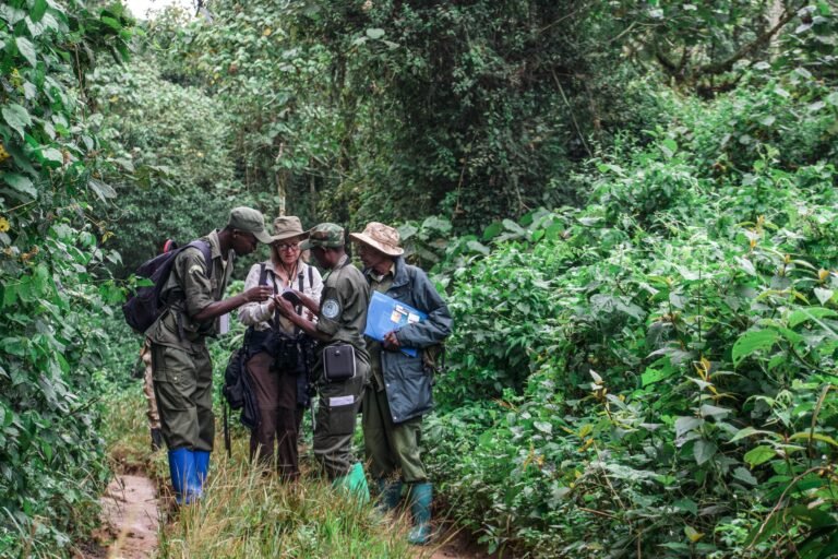 In a heavily forested area, three men and one woman huddle together to look at a notebook.