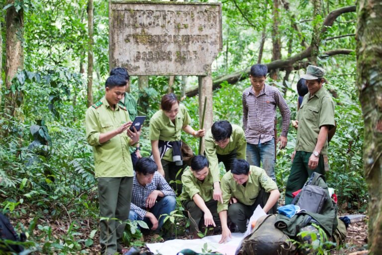 A group of forest rangers in green uniforms stand under an old sign and read a map together.