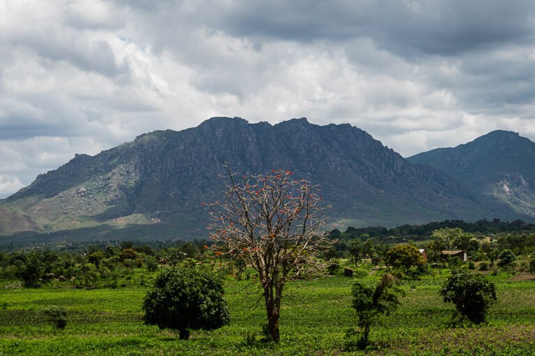 31,000 hectares of land have been rehabilitated