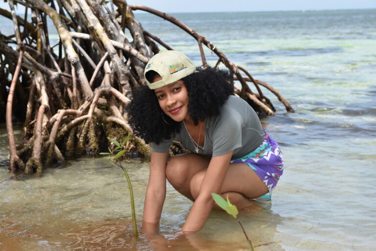 A woman kneels on a sandy beach to plant a young mangrove tree.