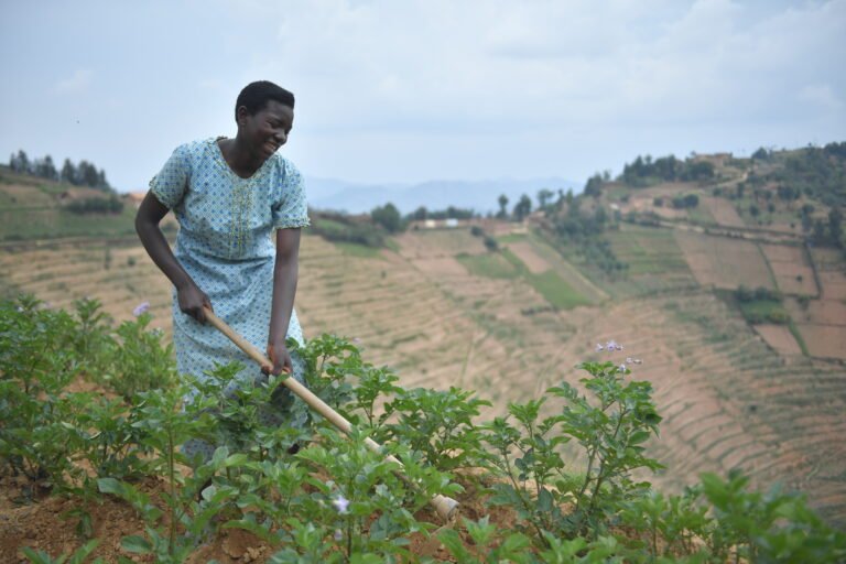 A woman stands on the edge of a high terraced field with a hoe in hand.