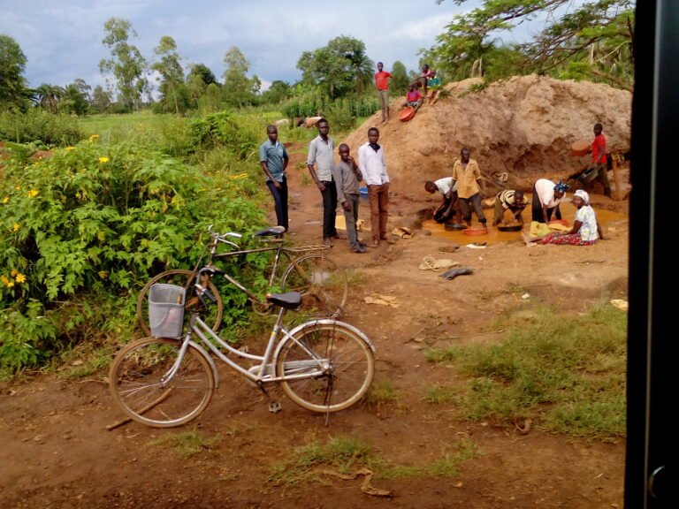 A group of people faces the camera, some of them wading in a muddy water hole and panning for gold.