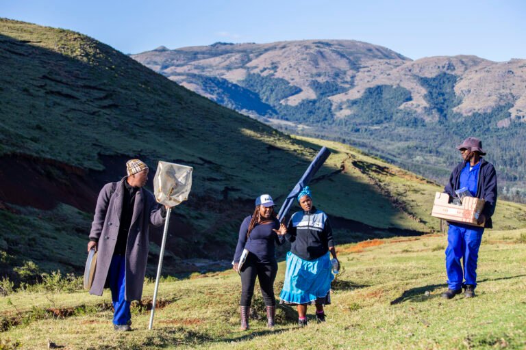 Four people holding tools walk along a hillside in front of a mountainous background.
