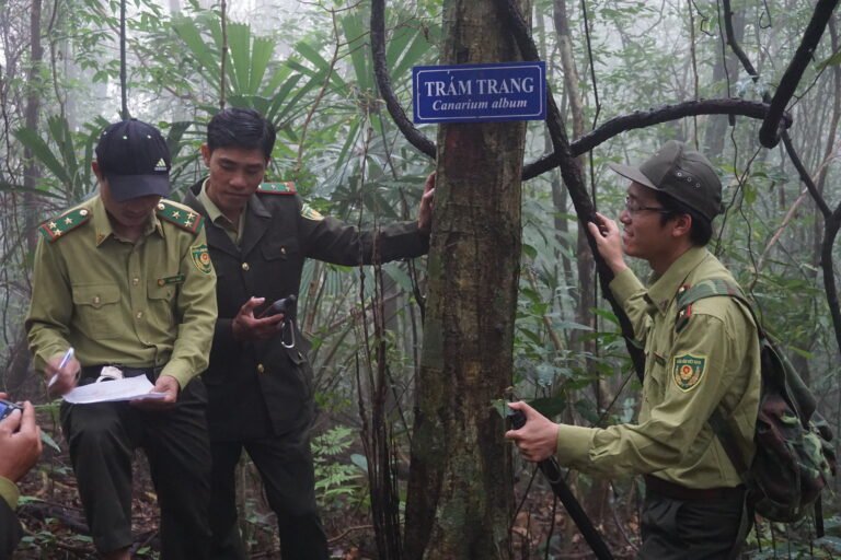 Forest rangers moniror biodiversity conservation at Bac Ma National Park